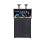 D-D Reef Pro 900 Aquarium