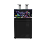 D-D Reef Pro 900 Aquarium
