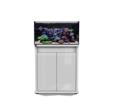 D-D Reef Pro 900 Aquarium