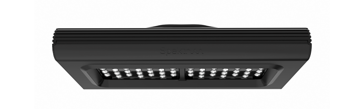 D-D Spektrum 150 High Output LED Light