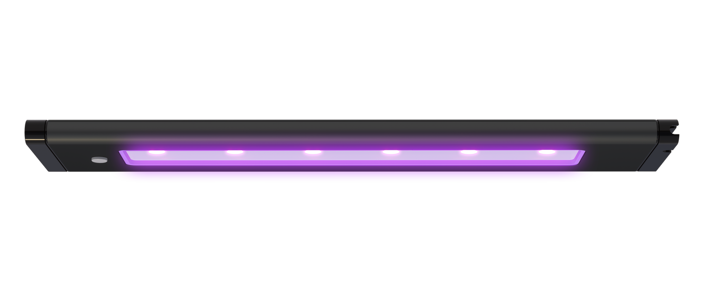 AI Blade Coral Glow - 21 Inch