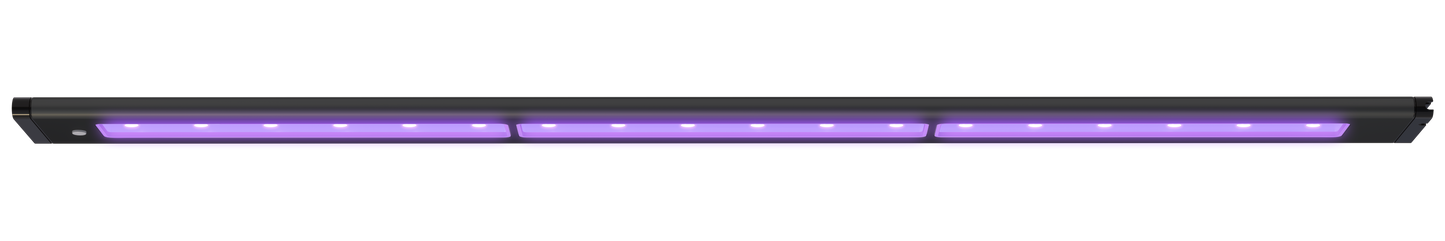 AI Blade Coral Glow - 21 Inch