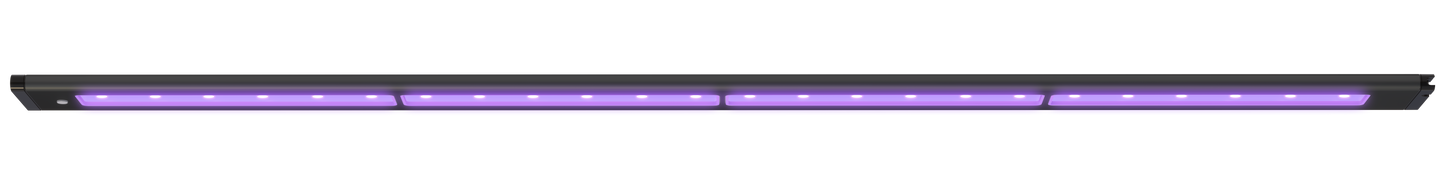 AI Blade Coral Glow - 21 Inch