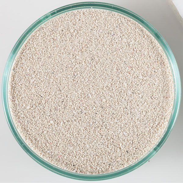 CaribSea Arag-Alive Bahamas Oolite Live Sand 20lb – Reef Substrate