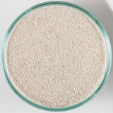 CaribSea Arag-Alive Bahamas Oolite Live Sand 20lb – Reef Substrate