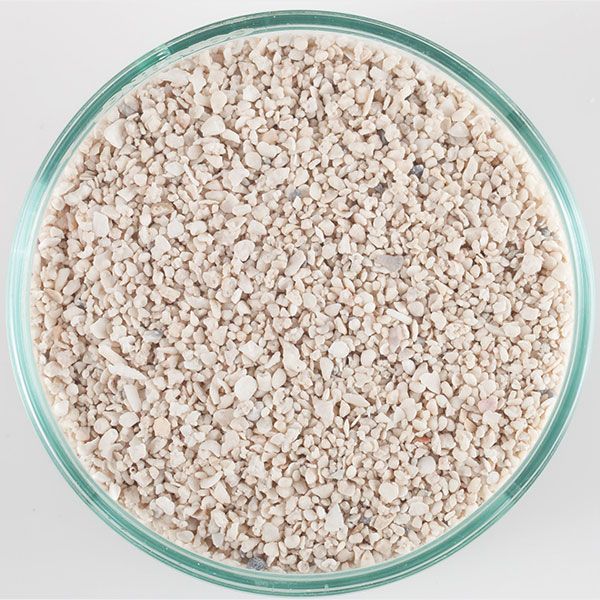 CaribSea Arag-Alive Special Grade Live Sand 20lb – Reef Substrate