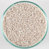 CaribSea Arag-Alive Special Grade Live Sand 20lb – Reef Substrate