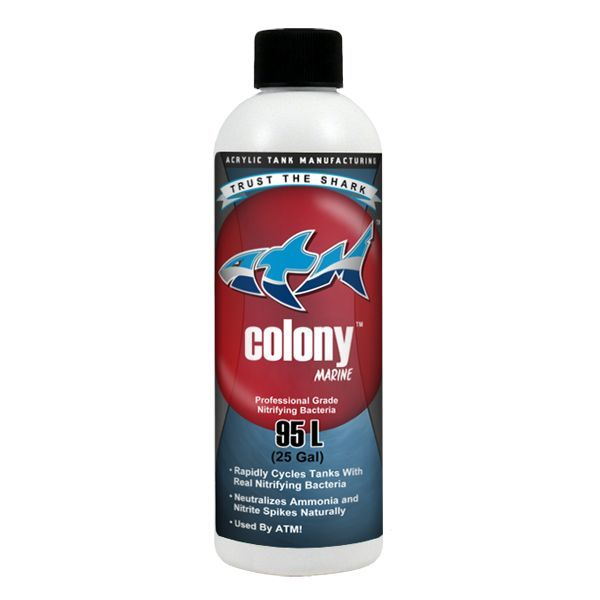 ATM Colony Saltwater 8oz – Live Nitrifying Bacteria for Reef Tanks