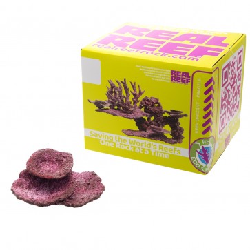 D-20 Real Reef Rock Turbinaria Cup Plate (1pc)