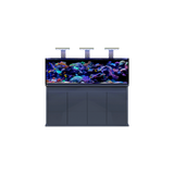 D-D Reef Pro 1800 Reef Aquarium System