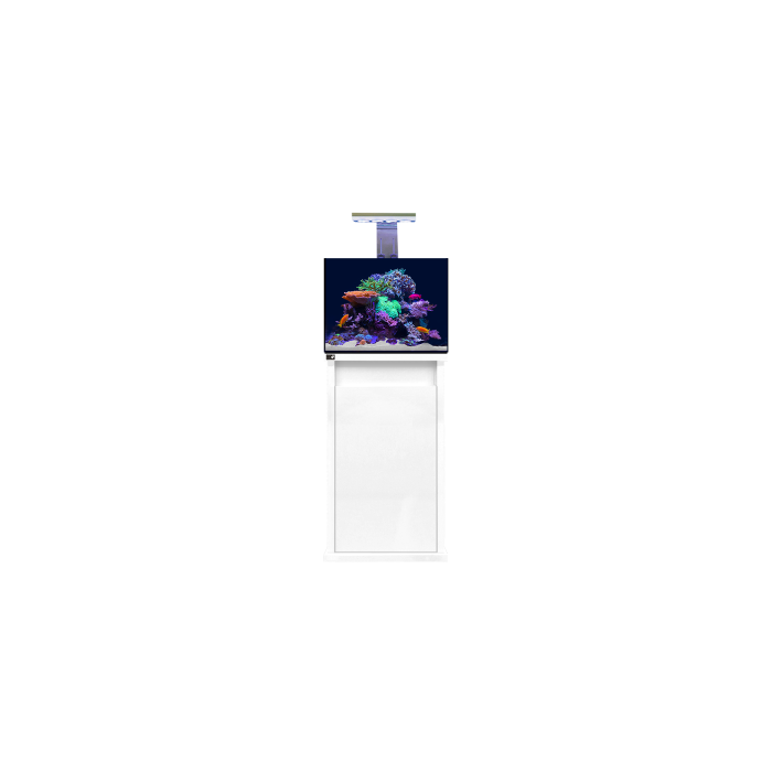 D-D Reef Pro 600 Reef Aquarium System