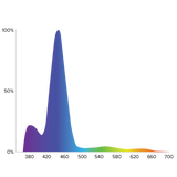 D-D Spektrum 90 High Output LED Light