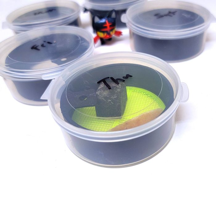 VCA Deluxe Defroster Cups (Pack of 2) – Safe & Convenient Fish Food Defrosting