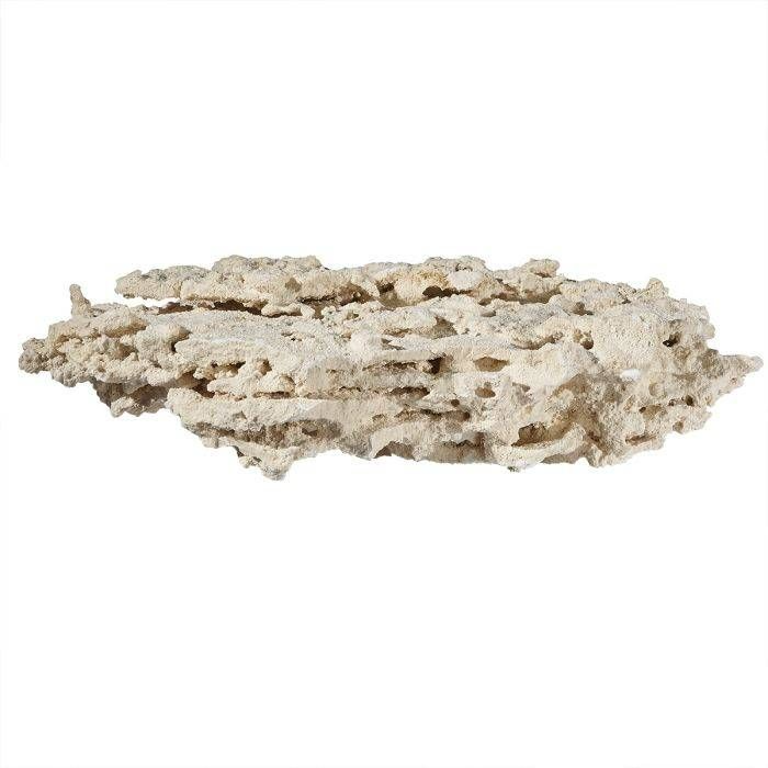 Marco Shelf Rock (Per Kilo) – Natural, Multi-Tiered Reef Shelf Rock