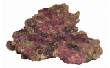 TMC EcoReef Rock Mix F - Plate Mix for Marine & Reef Aquariums