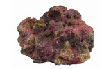 TMC EcoReef Rock Mix F - Plate Mix for Marine & Reef Aquariums