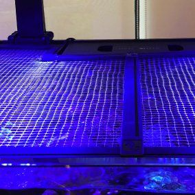 Red Sea Aquarium Net Mesh Lid 180×80cm — Custom Cover for Open-Top Tanks