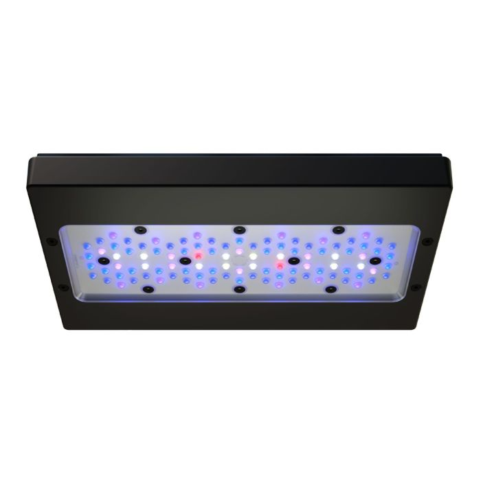 Ecotech Radion Gen 6 XR30 Blue LED Light – 205W, Full Spectrum, Enhanced Fluorescence