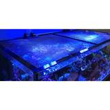 Jump Guard PRO Aquarium Cover 180x90cm DIY Kit