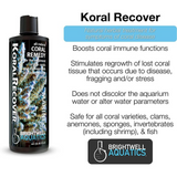 Brightwell Aquatics Koral Recover Coral Treatment – 250ml