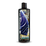 Brightwell Aquatics Fish Recover Marine Anti-Bacterial Remedy – 500ml
