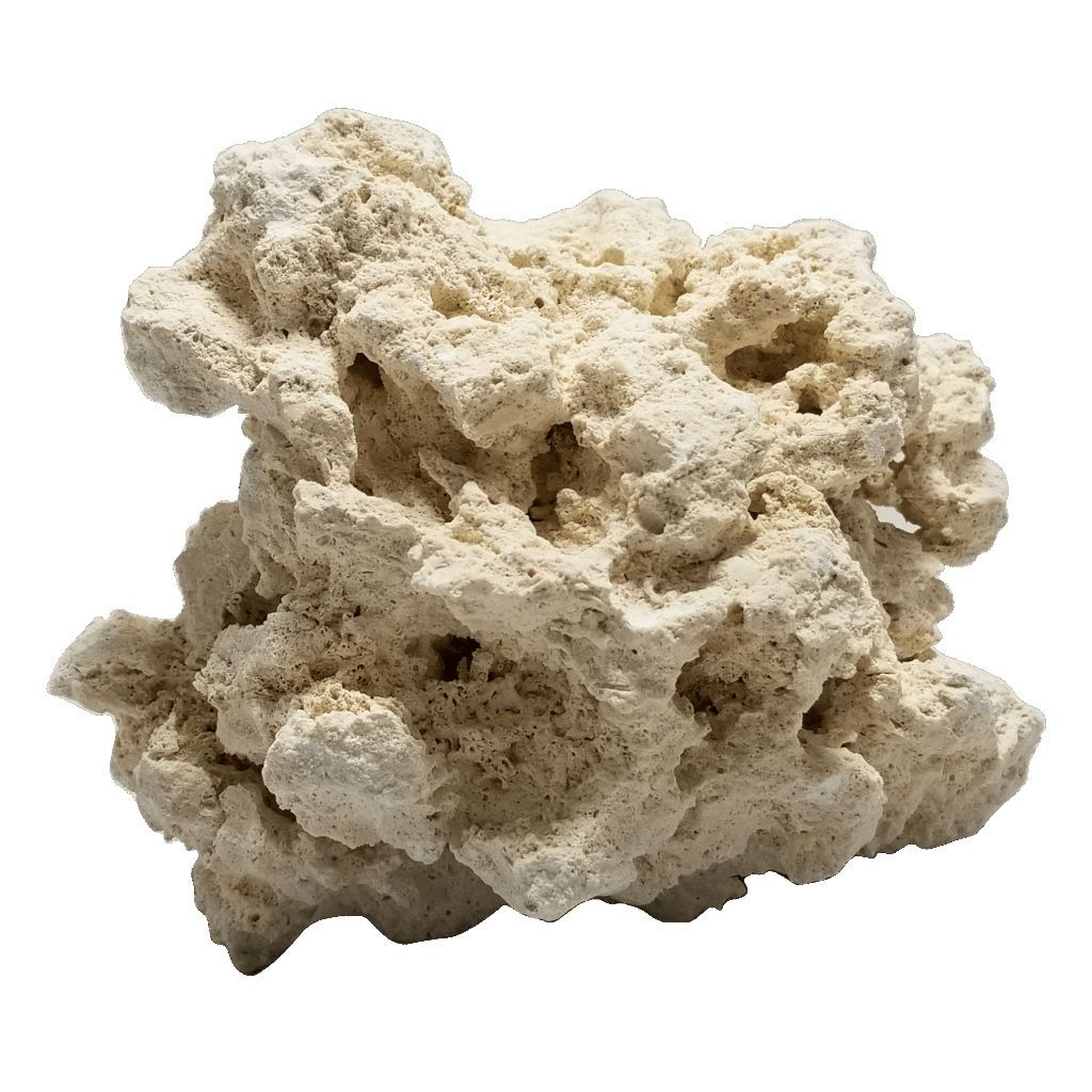 Hugo Dry Ocean Reef Rock 9-12cm 20kg Box – Sustainable Reef Rock for Marine Aquariums