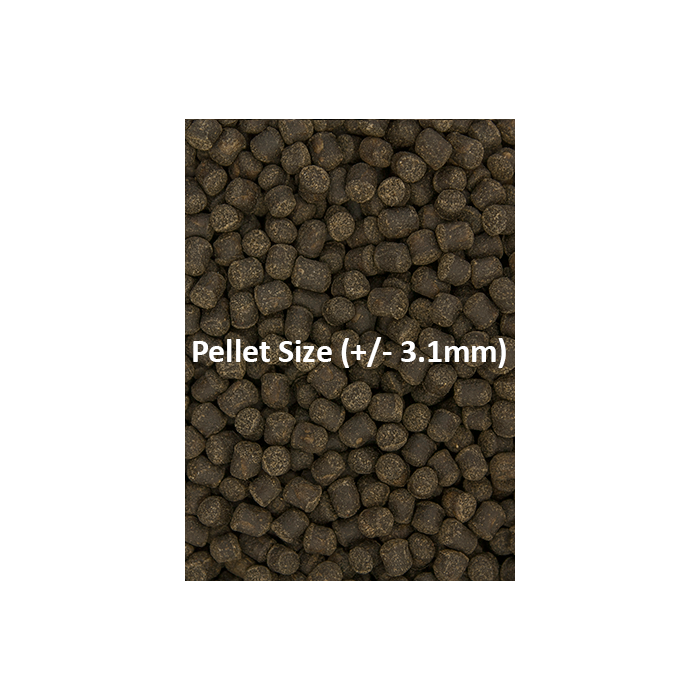 Ocean Nutrition Formula Two 200g (Medium) — Herbivore Fish Food with Garlic & Spirulina