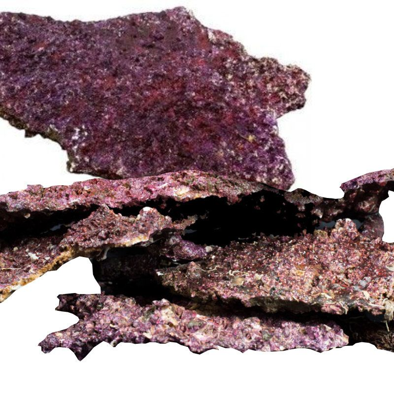 Real Reef Rock Plate 25kg Box – Replica Tonga Shelf Rock for Aquascaping