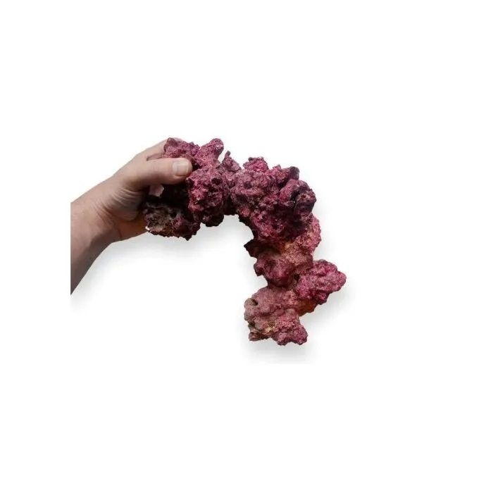 Real Reef Rock Arch (Per Piece) – Natural Arching Reef Rock