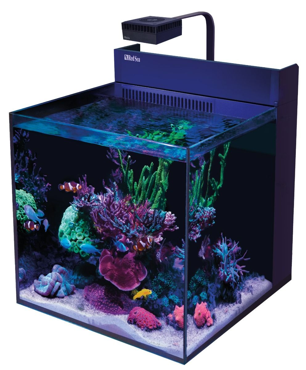 Red Sea Max Nano G2 XL 125L Reef System – Complete Plug & Play Nano Reef Aquarium