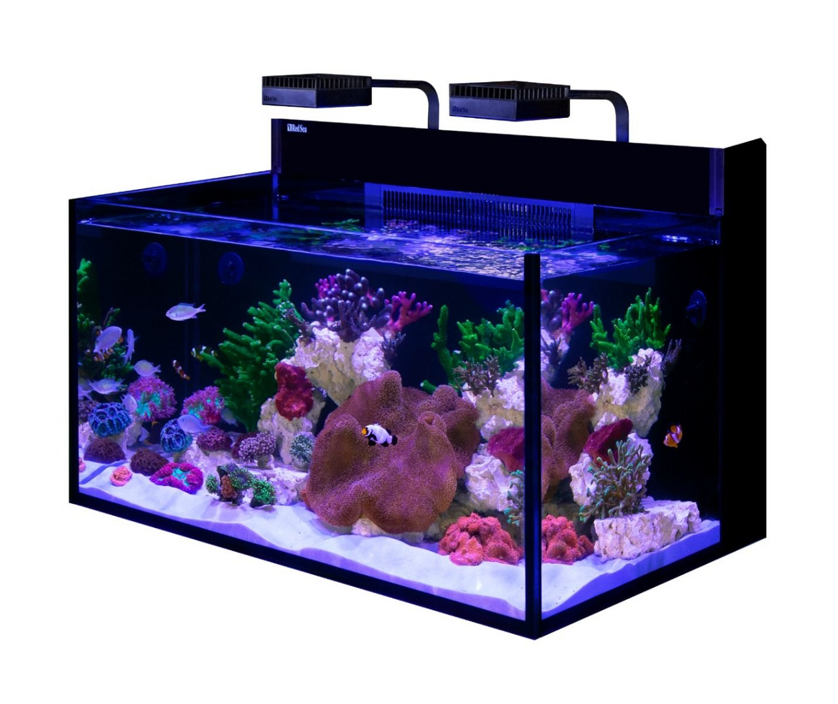 Red Sea Max Nano G2 XXL 200L Aquarium & Cabinet – Black, Complete Reef System