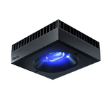 Red Sea ReefLED 160S — Smart LED Lighting for Coral Growth