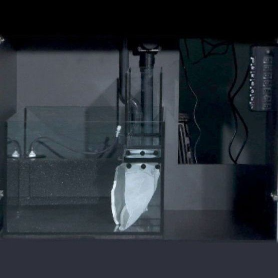 Red Sea MAX® E - 170 In-Cabinet Sump & Pipework Set – Modular Filtration System